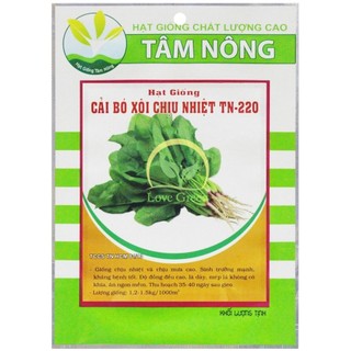 [Tâm Nông] Hạt Giống Cải Bó Xôi (Rau Bina) Chịu Nhiệt