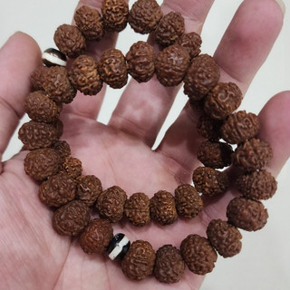 Vòng tay bồ đề kim cang 8 múi hiếm rudraksha ấn độ 12mm nâu đẹp 21 hạt