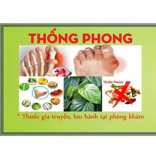 Thống Phong Gia Truyền, Thuốc Gout (Hộp 40 viên)