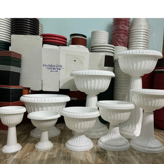 Bộ Chậu Trồng Cúc Mâm Xôi, Chậu Ly Chân Đế Cao (Chuyên trồng hoa trang trí - Sen Đá - Cây thủy sinh - Nuối cá))