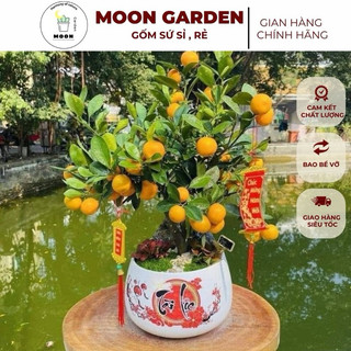 Chậu gốm hình hạt dẻ - Chậu trồng quất - Gốm Bát Tràng - Chậu trồng cây cảnh, trồng hoa, kim tiền