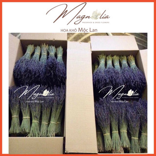 Hoa khô Lavender ❤️FREESHIP❤️ True Lavender hoa khô thuần chủng Pháp, tím than siêu đẹp, ít rụng