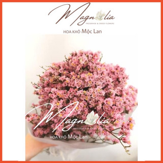 Hoa thuỷ tinh khô ❤️FREESHIP❤️ Hoa sao khô Limonium phụ kiện chụp ảnh, trang trí nhà cửa sang trọng