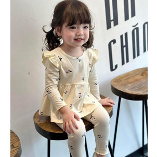 Bộ quần áo dài tay bánh bèo cánh tiên cho bé gái từ 8kg đến 18kg