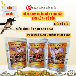  Cám Chim Chào Mào Kinh Bắc giàu dinh dưỡng Siêu Kích Lửa & Vỗ Béo 