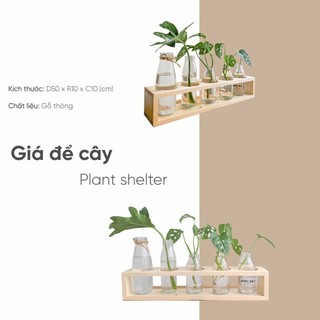 Kệ để cây thuỷ sinh để bàn Decor / Giá cắm lọ hoa, nến thơm trang trí