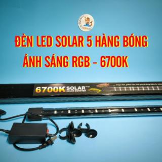 ĐÈN LED 5 HÀNG BÓNG SOLAR ÁNH SÁNG 6700K-RGB DÀNH CHO HỒ CÁ CẢNH TANING HUYẾT LONG, QUÁ BỐI, CÁ RỒNG VÀ CÁ HỒ CỘNG ĐỒNG