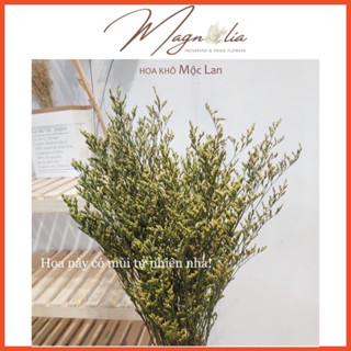 Hoa sao tím ❤️FREESHIP❤️ Hoa sao tình yêu khô đuôi công cắm lọ thuỷ tinh trang trí, handmade, phụ kiện chụp ảnh sản phẩm