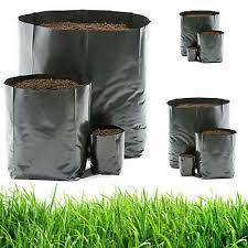 1KG TÚI BẦU VUÔNG ĐEN DÙNG ƯƠM CÂY 17X22CM - CHẬU ƯƠM CÂY GIÁ RẺ