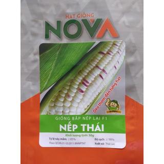 Hạt giống ngô nếp lai nova 500gram - hạt tím xem trắng to tròn đều hạt