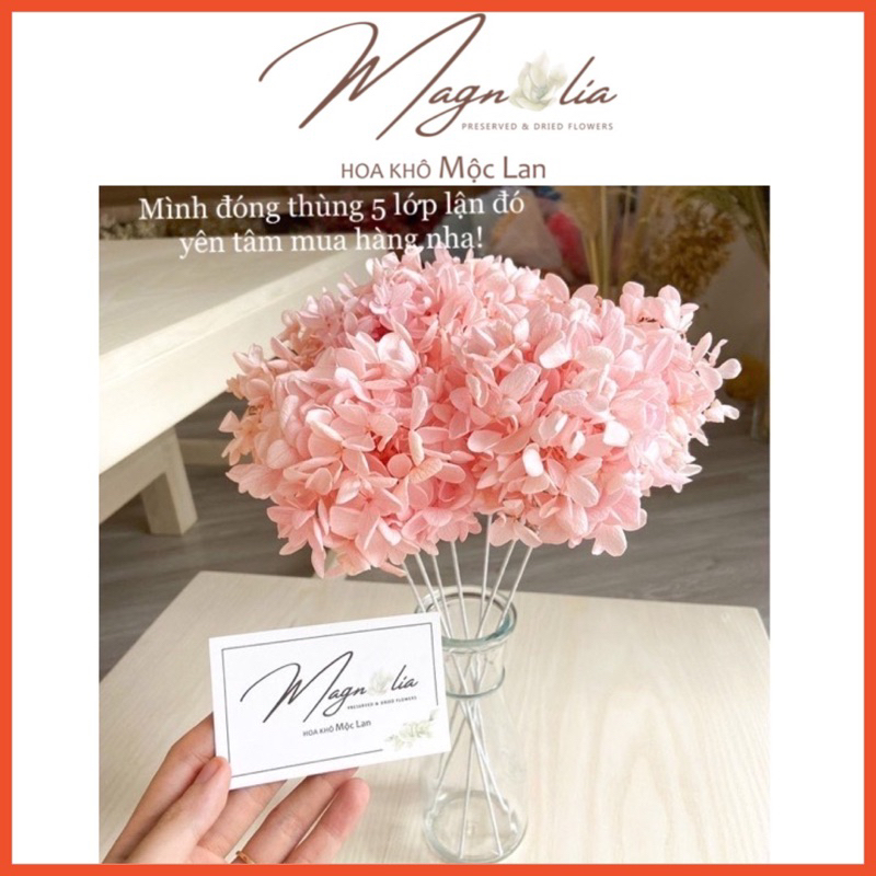 Hoa Khô Decor ❤️Freeship❤️ Cẩm Tú Cầu Nhật Bản Hồng Phấn Siêu Đẹp, Hoa Trang Trí Phòng