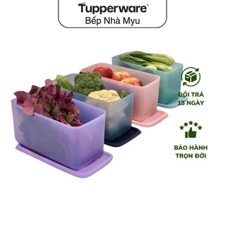  Hộp Nhựa Đựng Thực Phẩm Tupperware Funtastic   1 Hộp 3.1L  - Nhựa Nguyên Sinh - Kín Mùi Kín Khí 