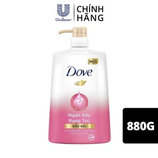 Dầu gội, sữa tắm dove 880g