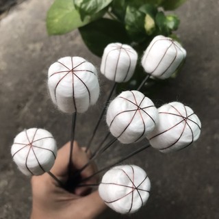 Cây Mồi Lửa giác hơi, cây mồi lửa dùng cho ống giác hơi