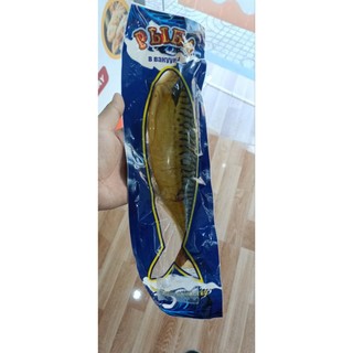 Cá thu muối skumria 1 con