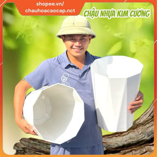 Chậu Trồng Cây Kim Cương Bát Giác, chậu nhựa kim cương 8 cạnh (Trắng trơn, giả đá đen, giả đá trắng)