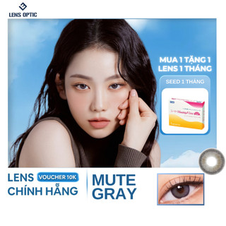 Kính áp tròng màu 6 tháng mute gray - lensoptic