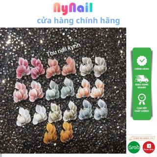 Hoa bột góc ôm trai” sét 10 bông”