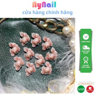 Hoa bột góc ôm trai” sét 10 bông”