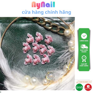 Hoa bột góc ôm trai” sét 10 bông”