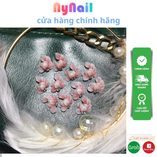 Hoa bột góc ôm trai” sét 10 bông”