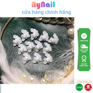 Hoa bột góc ôm trai” sét 10 bông”