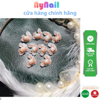 Hoa bột góc ôm trai” sét 10 bông”