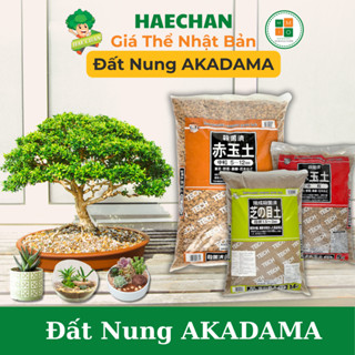 Đất nung Akadama trồng sen đá, hoa cây cảnh bonsai, đất nền thủy sinh - Nhập Khẩu Nhật Bản