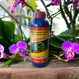 VITAMIN B1 XANH THÁI LAN – KÍCH RỄ, CHỐNG SỐC CHO CÂY- 1 lít