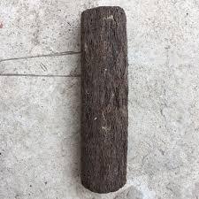 Bộ dớn đĩa và dớn trụ ghép lan - giá thể trồng lan đã qua xử lý