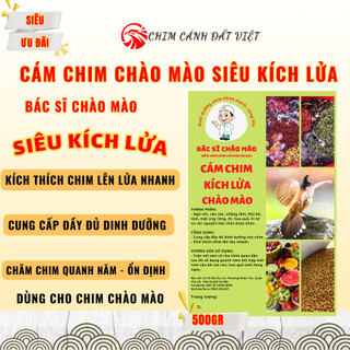 Cám Chim Chào mào giàu dinh dưỡng Vỗ béo & Kích lửa "Bác Sĩ Chào Mào"