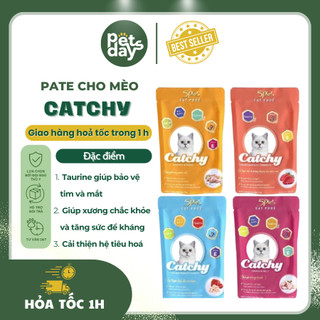 Pate Catchy Plus đủ vị, Pate gói 5Plus Catchy các vị giàu dinh dưỡng dễ hấp thu cho mèo - PETDAYS