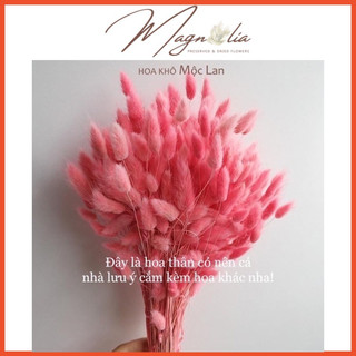 Bộ sản phẩm Hoa trang trí ❤️ Cỏ đuôi thỏ khô decor, phụ kiện cắm hoa sáp, resin