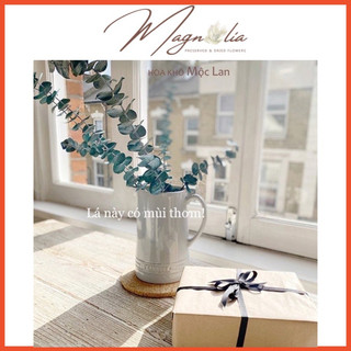 Hoa khô lá khuynh diệp khô Eucalyptus ❤️FREESHIP❤️ Hoa giả trang trí để bàn, kệ sách, decor vintage