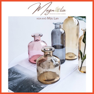 Lọ cắm hoa khô thuỷ tinh màu hồng pastel, trang trí chụp ảnh, decor nhà cửa