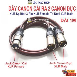Dây canon cái ra 2 đầu canon đực dài 1m - dây canon 2 đầu đực ra 1 đầu cái - 3 pin xlr female to dual xlr male cable