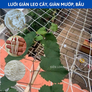 Lưới giàn leo, lưới giàn cây leo chất liệu sợi cước