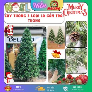 Cây thông noel 3m6, 4m5 3 loại lá gắn trái thông, cây thông noel 3m6 tán lá dày trang trí giáng sinh