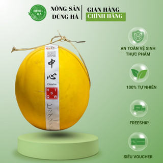 Dưa Lưới Vàng Tươi Ngon Thanh Mát Ship Hỏa Tốc