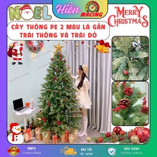 Cây thông noel 1m5, 2m pe 2 màu lá gắn trái thông và trái đỏ - cây tự động trang trí mùa giáng sinh