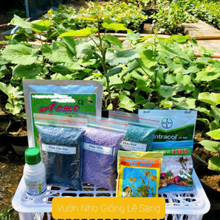 Combo Phân Bón Chuyên Dùng Cho Cây Nho