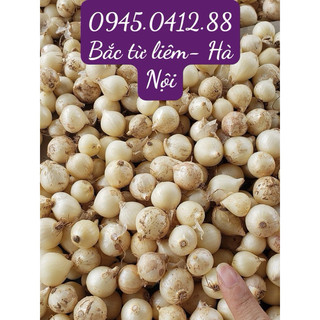 Hành tăm củ nén tại hà nội