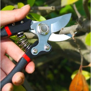 Kéo Cắt Tỉa Cành Sk5 Sada 210 Nhật Bản 210mm Cộng Lực Thép Không Gỉ
