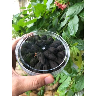 Nhang Nụ Trám Đen Bình Trí Thiện thơm ngọt dễ chịu tự nhiên 100% sl 40 nụ
