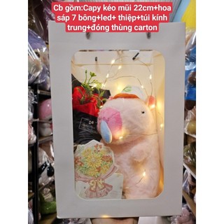 Set hoa và gấu tặng sinh nhật, lễ tình nhân,quà valentine,quà 8/3,quà 20/10,quà 20/11,quà trung thu,noel,giáng sinh