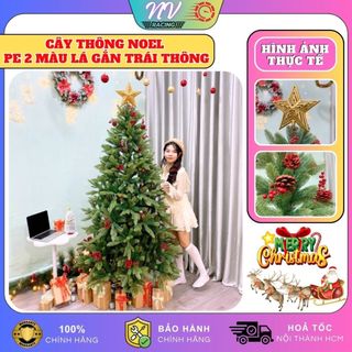 Cây thông noel pe 2 màu lá gắn trái thông và trái đỏ 1m5-2m4 lp-gl-d decor trang trí giáng sinh noel