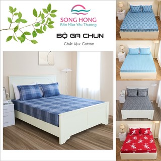 ✔️ Bộ Ga Gối 1m6x2m, ga chun chần bông -Dòng Basic -  Chất Cotton - Sông Hồng Chính Hãng- Mẫu mã chất lượng bền đẹp.