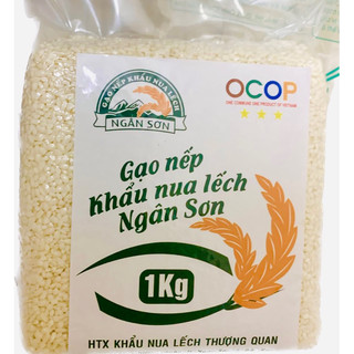 GẠO NẾP ĐẶC SẢN BẮC KẠN -KHẨU NUA LẾCH - GẠO QUÝ SẠCH THƠM 2kg