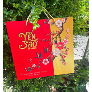 COMBO 30 TÚI ĐỰNG YẾN SÀO CẤP 100GR