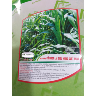 Hạt Giống Cỏ Ngọt 200g - Cỏ Chăn Nuôi, Sinh Trưởng Mạnh